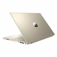 Laptop HP Pavilion 15-cs3063TX (8RK42PA) (15 inch FHD/i7-1065G7/8GB/512GB SSD/MX250/Win10)